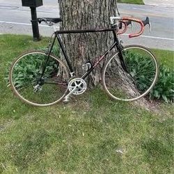 1984 Trek 560 12-speed road bike 24” frame, 24” rims. 