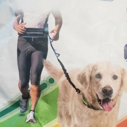 HANDS FREE DOG LEASH WITH CARRYING BAG  AND WATER BOTTLE HOLDER