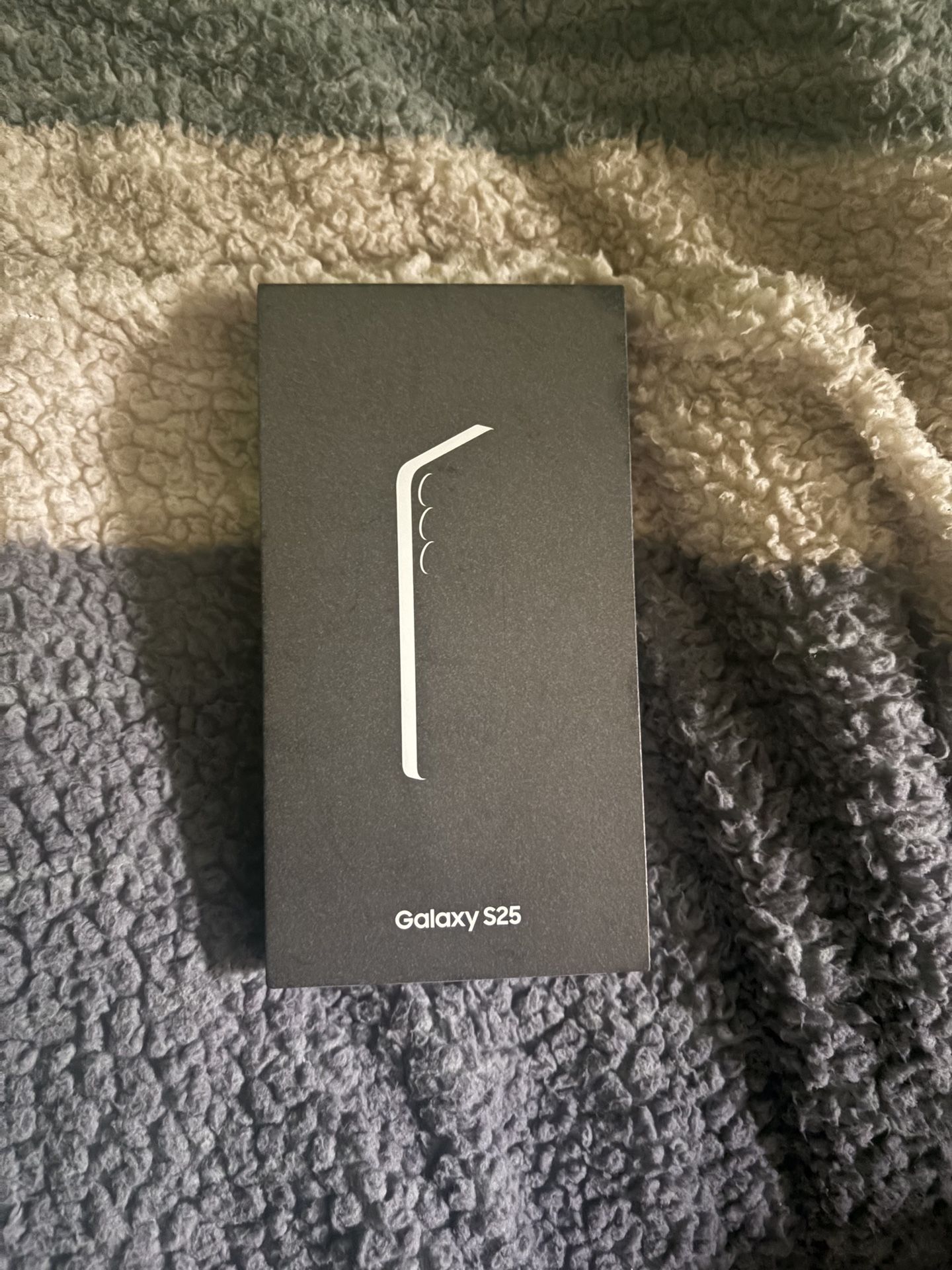 Samsung Galaxy S25