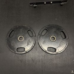 Pair Of 45lb Plates