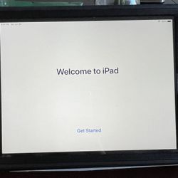 iPad mini 2