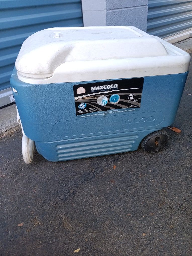 Camping Cooler