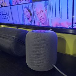Apple 1st Gen Homepod. 