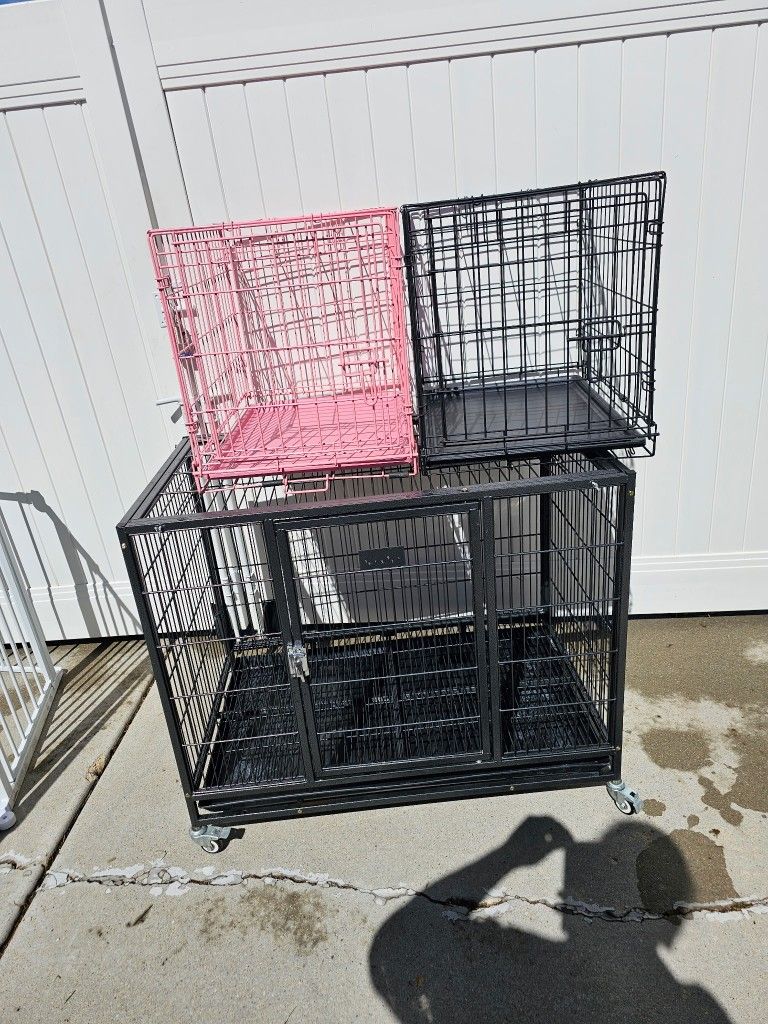 Dog Kennels 