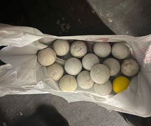 Used Lacrosse Balls
