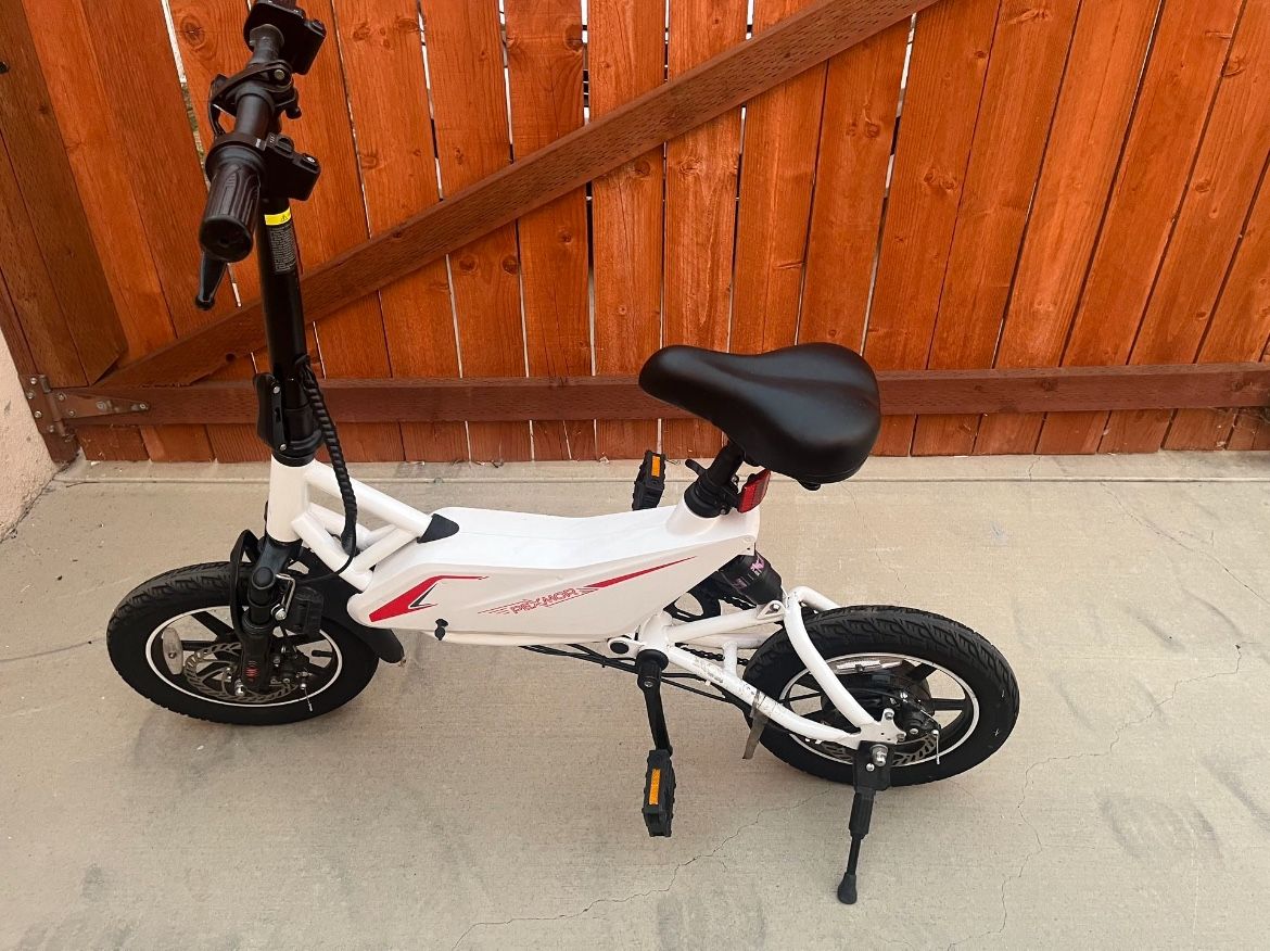 E bike
