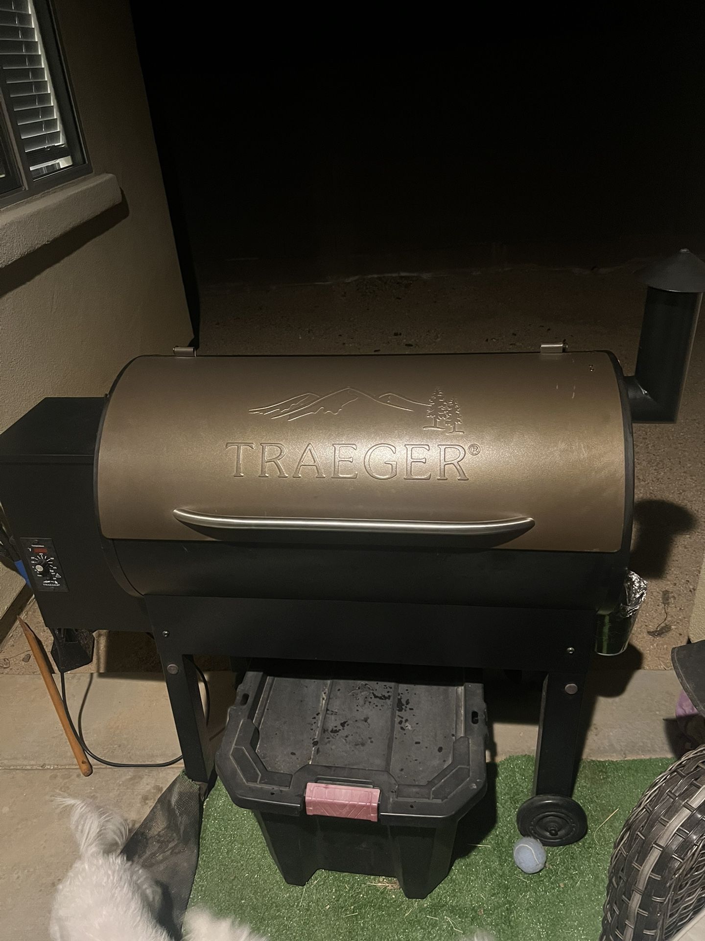 Traeger Smoker 