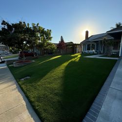 Artificial Grass Turf