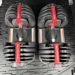 Bowflex SelectTech Adjustable Dumbbells