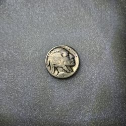 1920 Buffalo Head Nickel