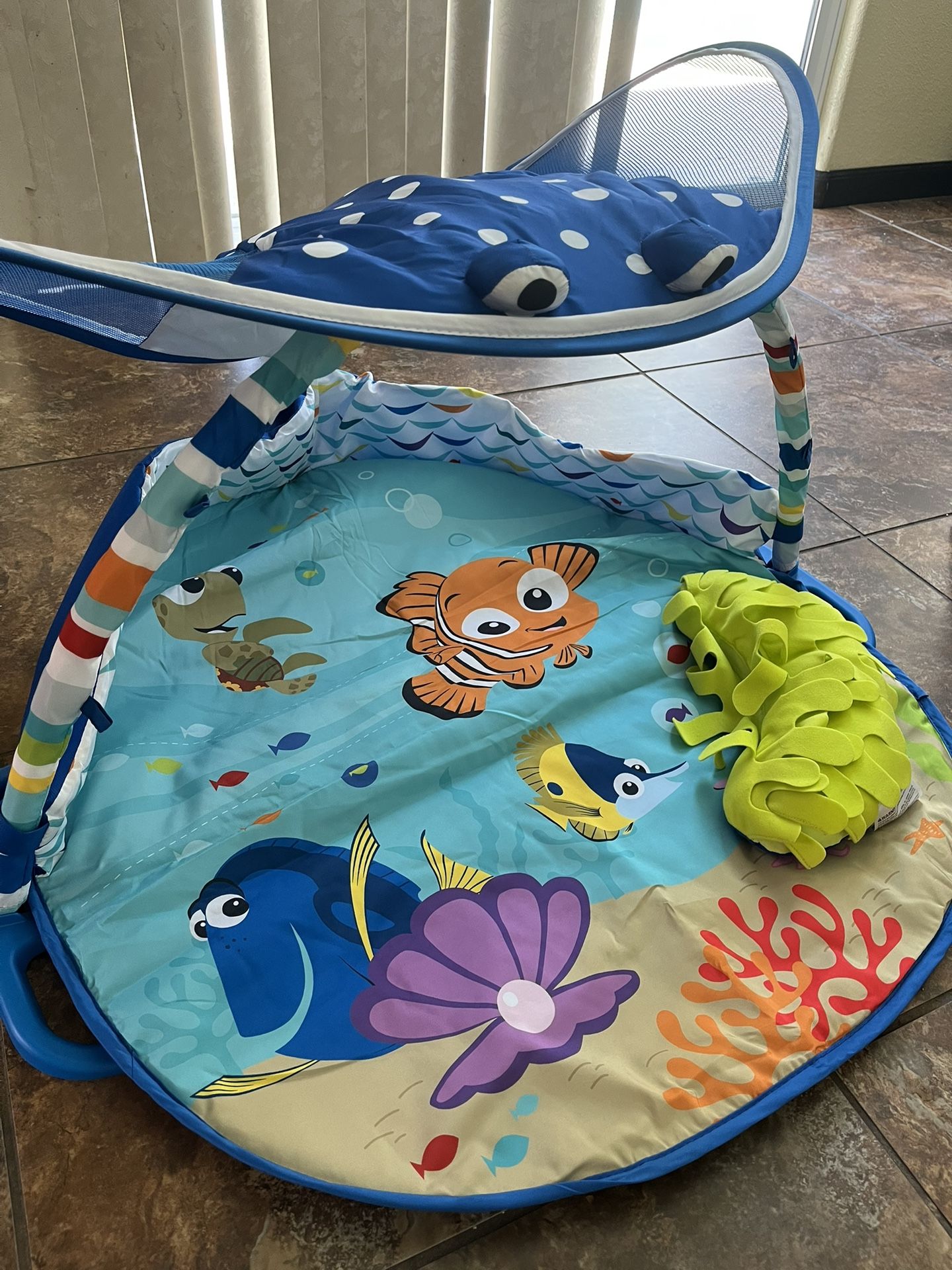 Finding Nemo Gym