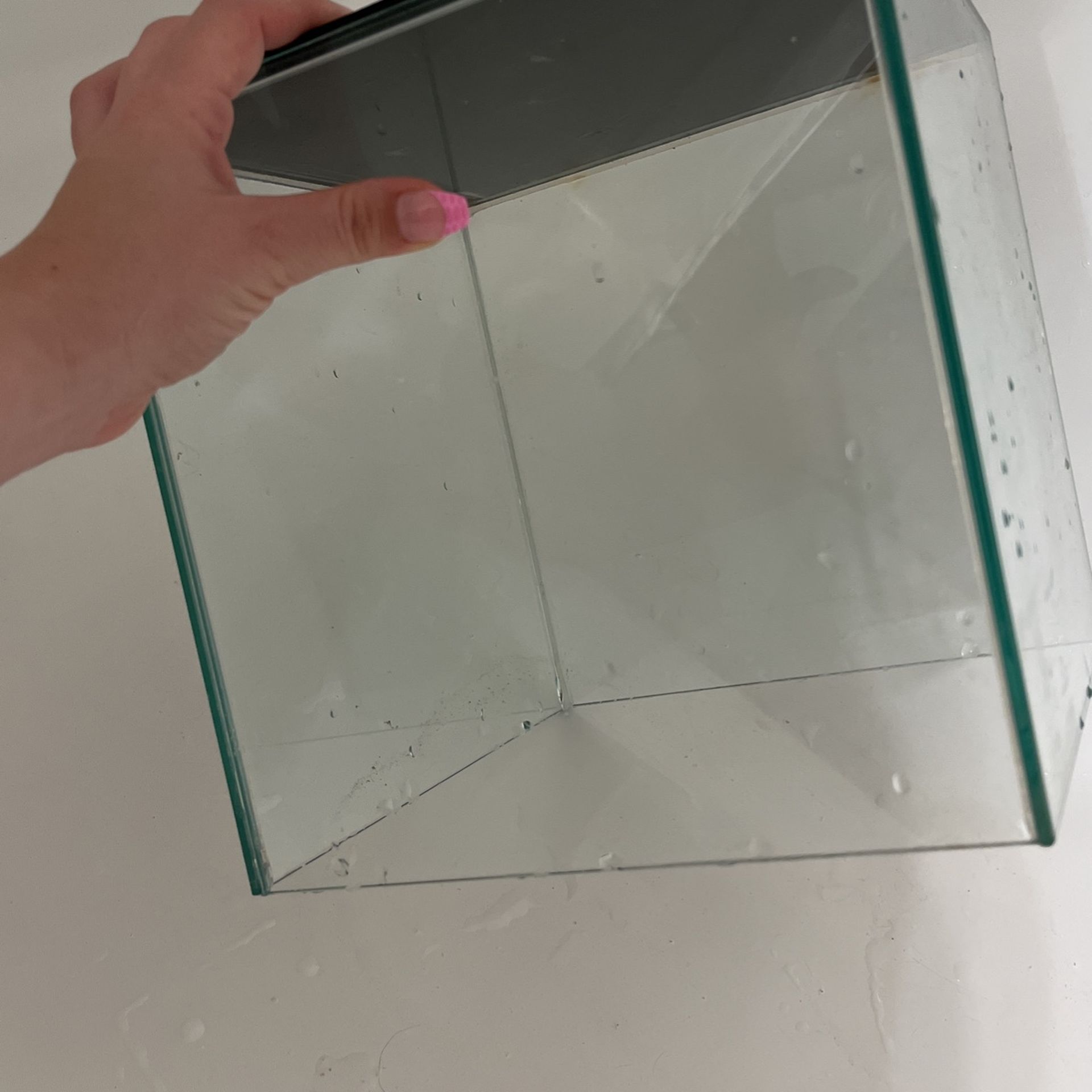 3 Gallon Cube Aquarium