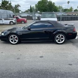 2000 Ford Mustang