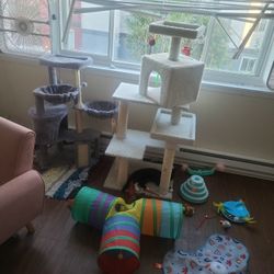 Cat Trees, Toys, & Fountain