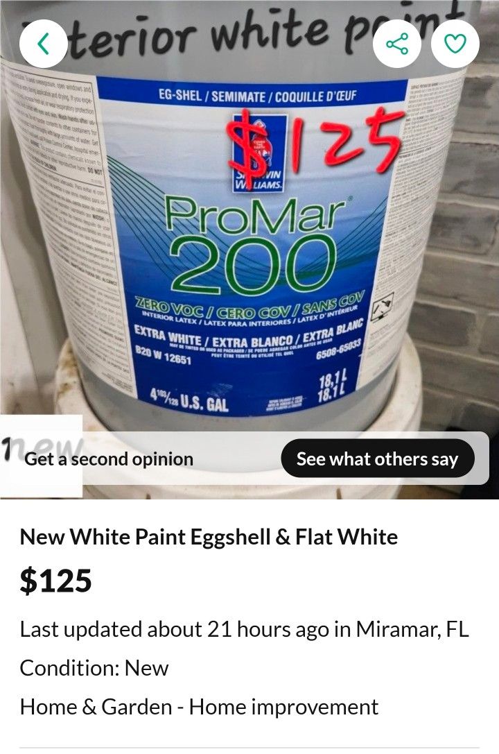 White Paint Eggshell & Flat