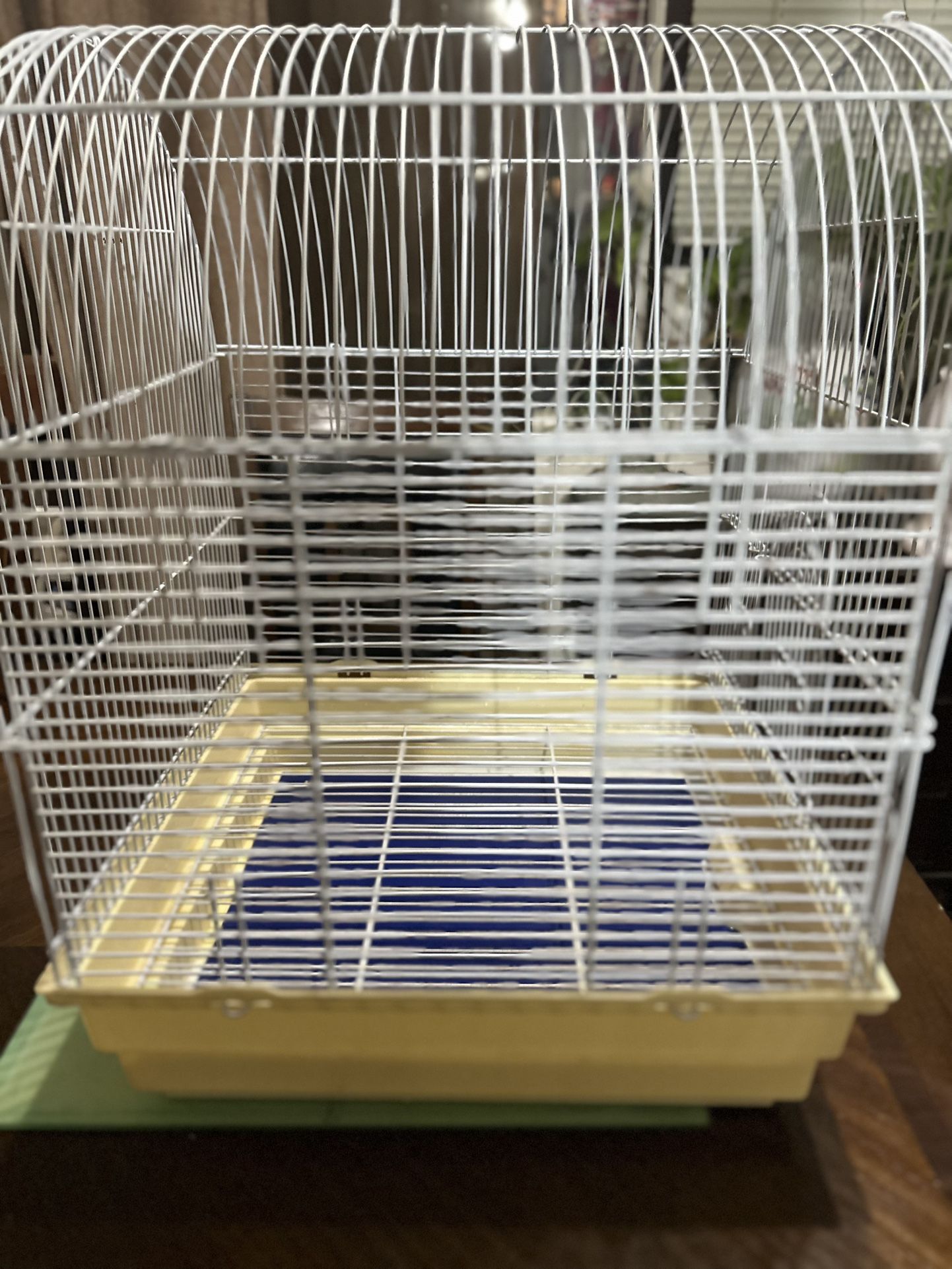 Bird Cage