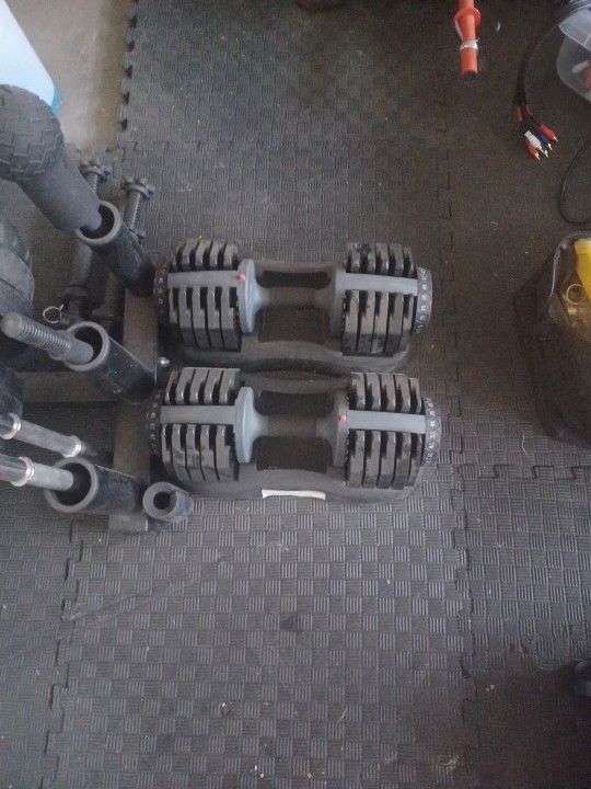 Bowflex 552 Adjustable Dumbell Set