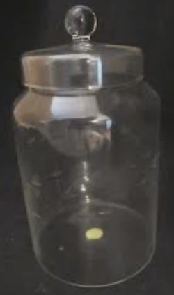 Vintage Rare Heritage 10” High Canister W/Lid