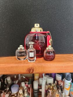 Beautiful Coach fragrance collection
