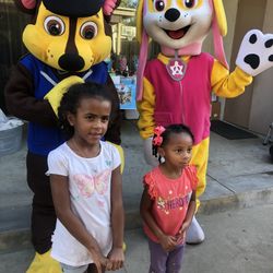 Paw Patrol Costumes And More