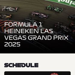 Driver For Formula One 100 Per Trip