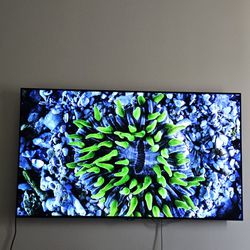 55 Inch LG OLED Tv 