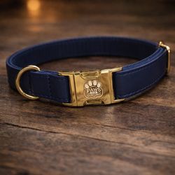 Luxury Custom Dog Collar + Engraved Tag (QR Code) – Same Day Delivery 661
