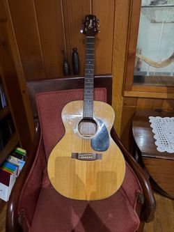 Vintage Takamine EG-230 Acoustic Electric Guitar with Hard Case