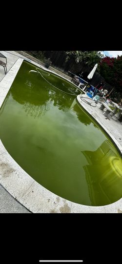 Pool Filter Kleen