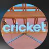 Cricket At Sierra Vista ✅