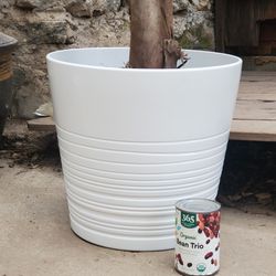 White Ceramic Planter Pots Large And Medium Sizes