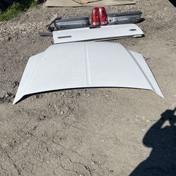 Hood, Struts, Taillights