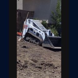 Bobcat Mt55
