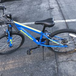 Nishiki Bike 