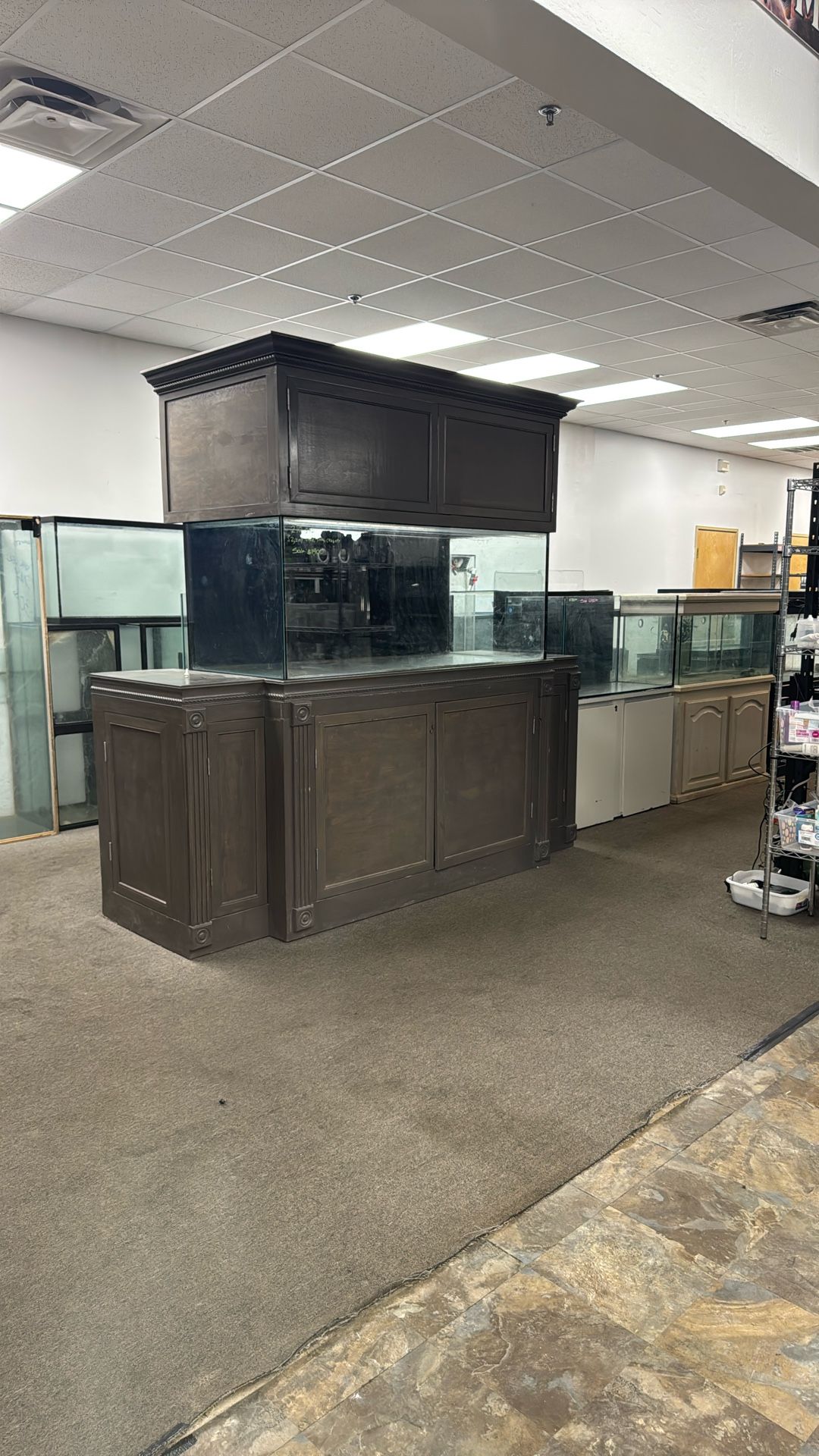 210 Gallon Saltwater Aquarium