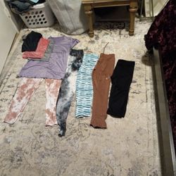 5 Pairs Of Yoga/workout Pants, 4 Dry Fit Shirts. Will Sell Separately 