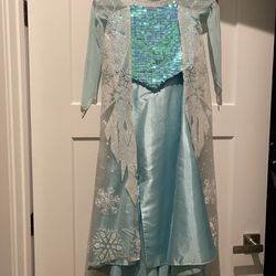 Elsa Disney Costume Dress 