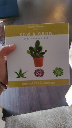 sow and grow seed starter kit succulent and cactus