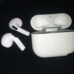 Apple Earbuds 