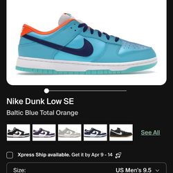 Nike Dunk Low SE