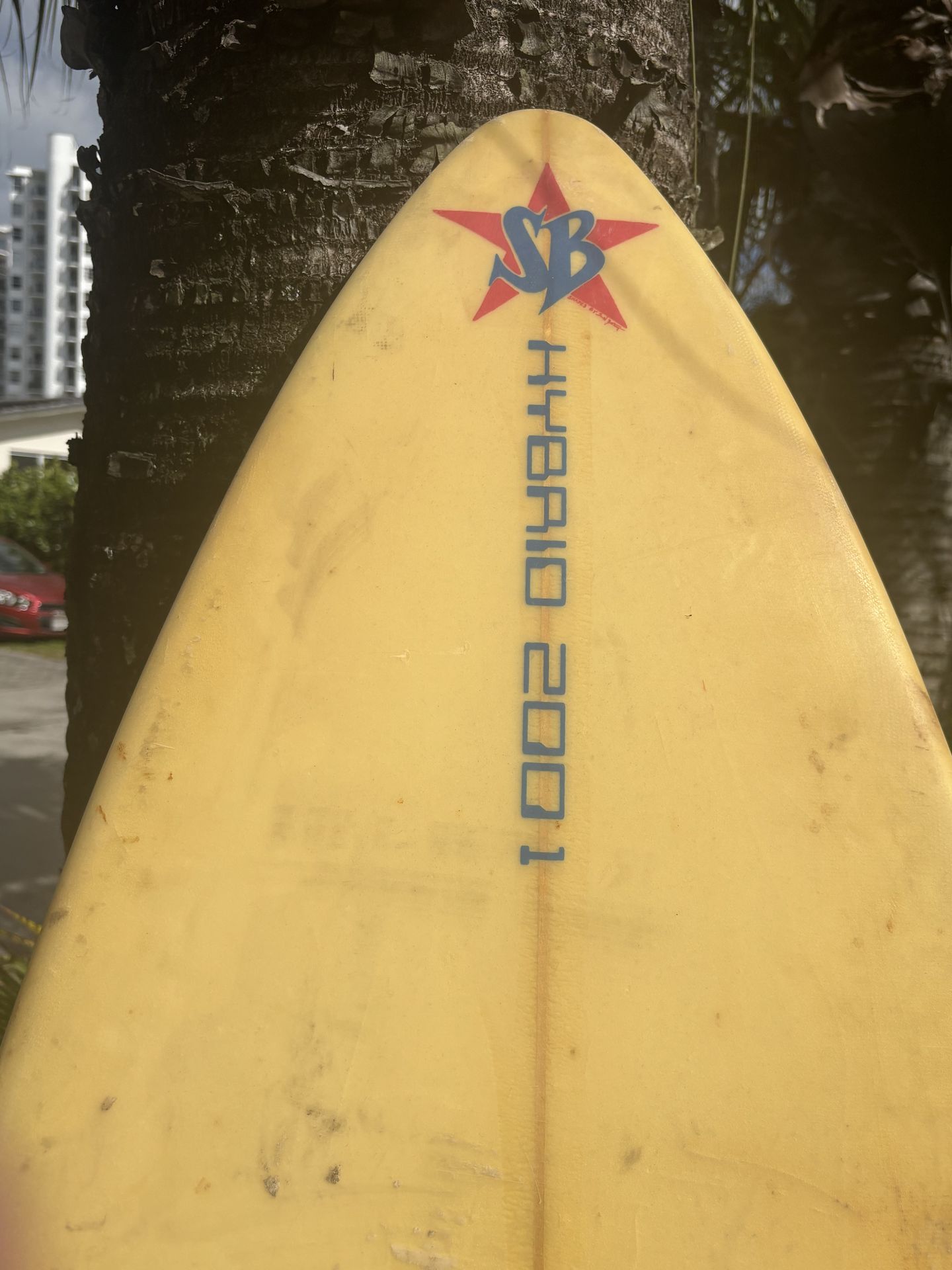 6-4 Surfboard at Catch a Wave Surf Shop