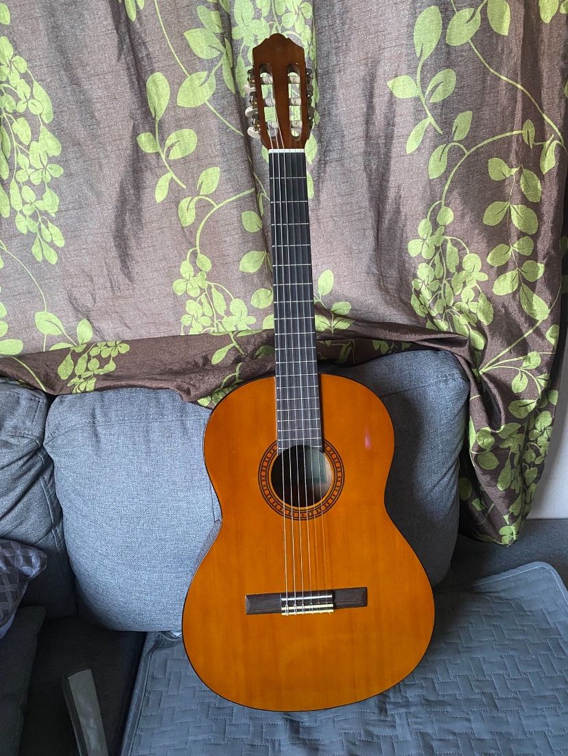 Guitar With Case And Book