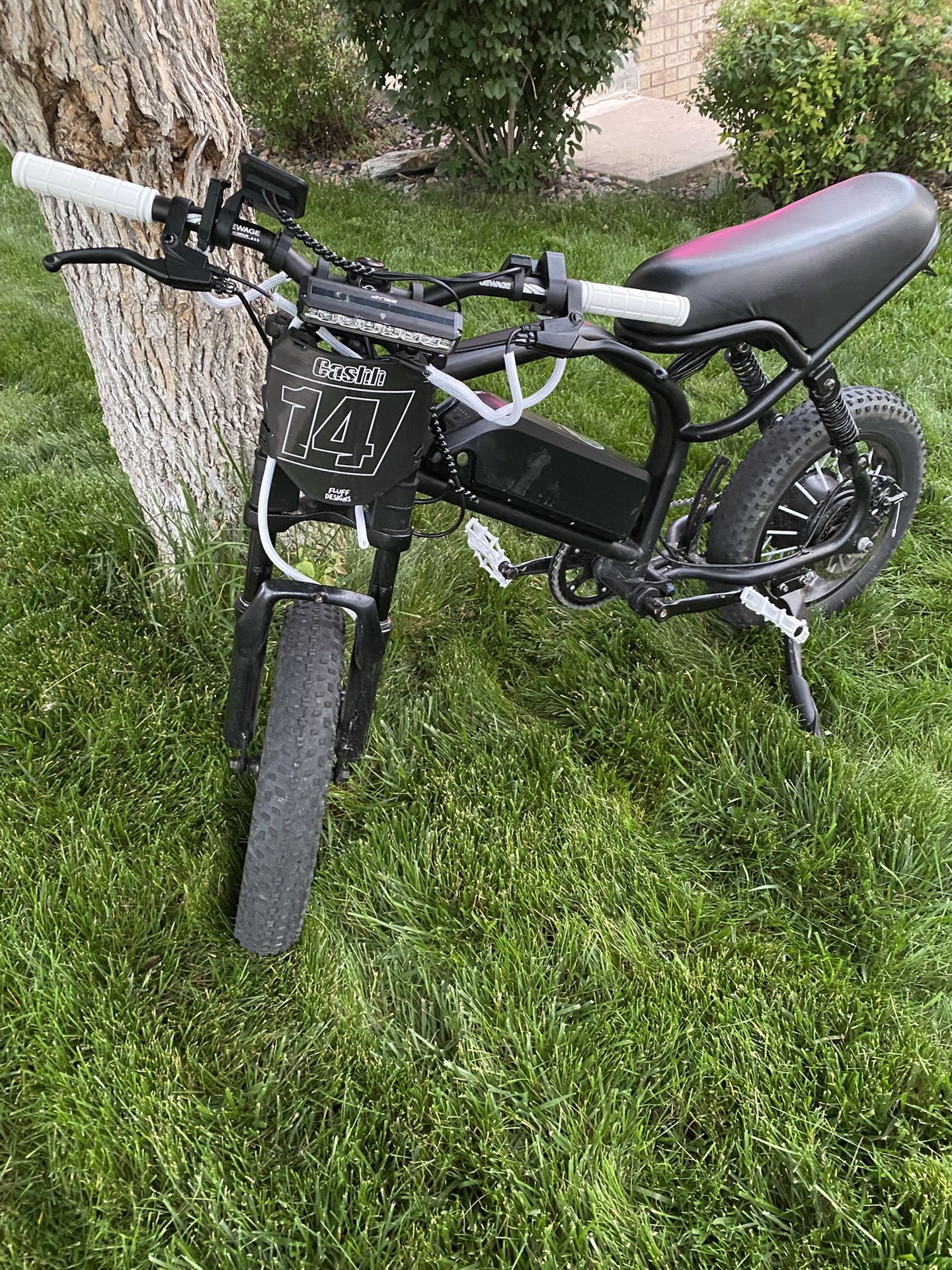 Modded E-bike (Will Take Trade Offers Specifically Looking For Mototec E Bike)