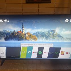 LG 60” TV