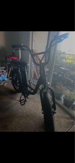Radpower e bike