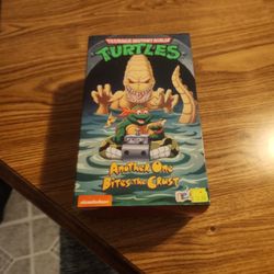 Tmnt Action Figure Teenage Mutant Ninja Turtles 