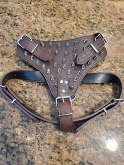 Dog Harness