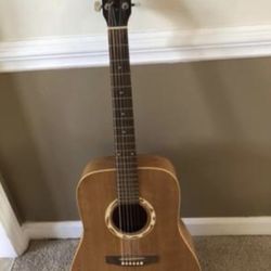 Acoustic guitar