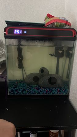 fish tank