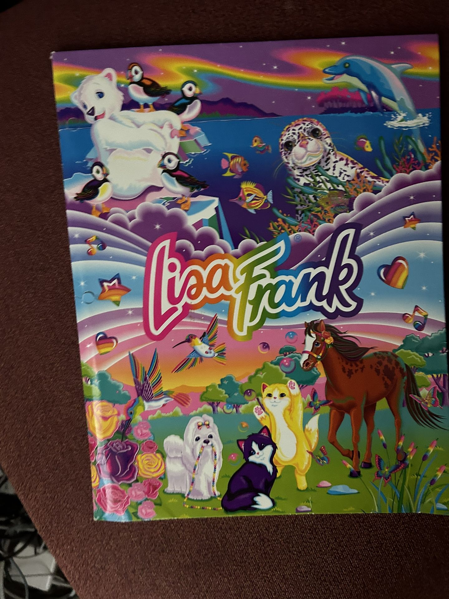 Lisa Frank multi-coloured folder from the 1990s good to excellent condition #lisafrank #rare #1990s #kidcore #folder